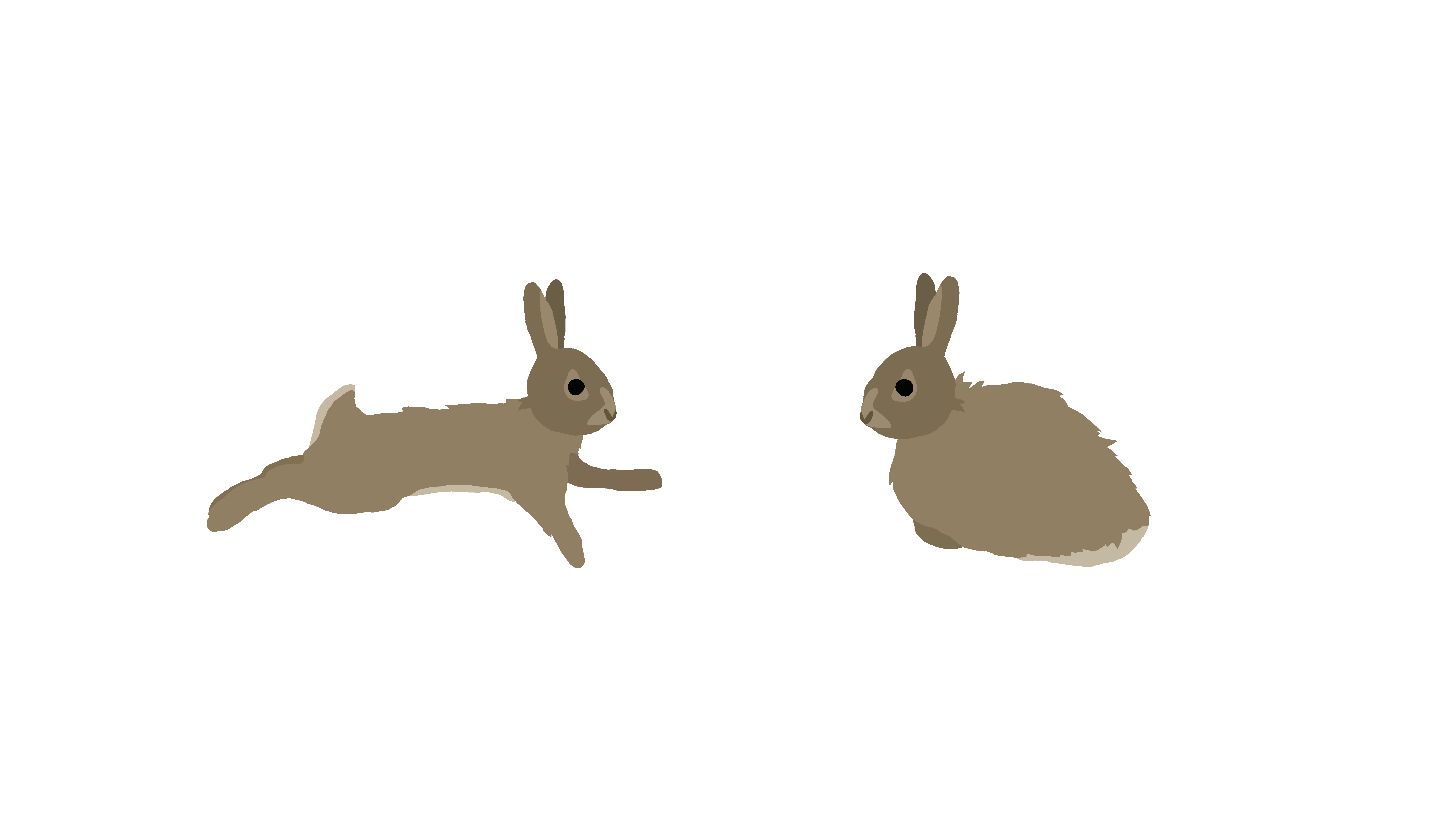 bunnies